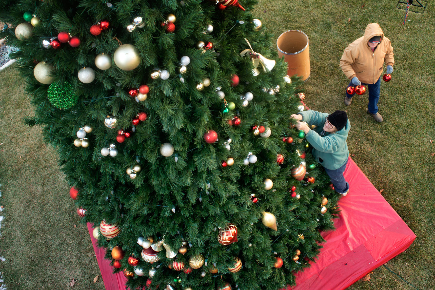 Downtown Christmas Tree
